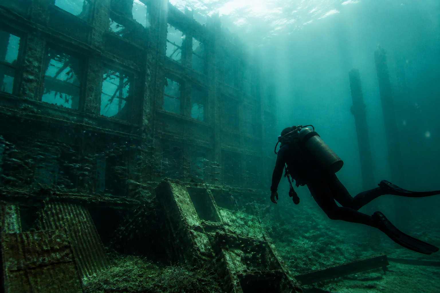 Les mondes aquatiques les plus intéressants